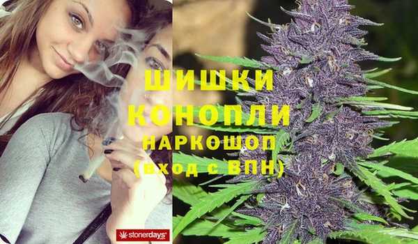 твердый Богородск