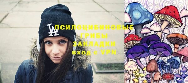 MDMA Premium VHQ Богородицк
