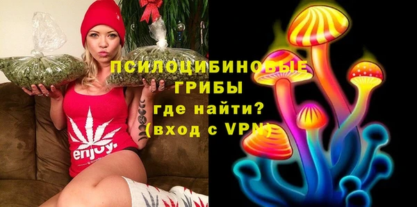 твердый Богородск